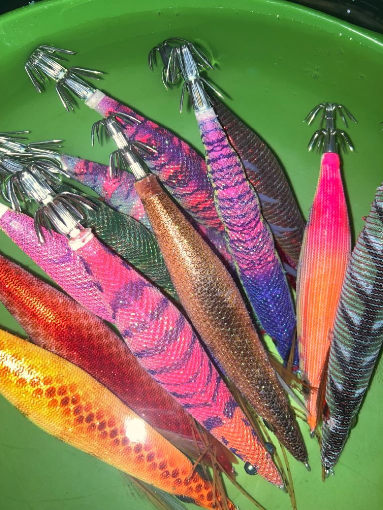 リベンジエギング🎣