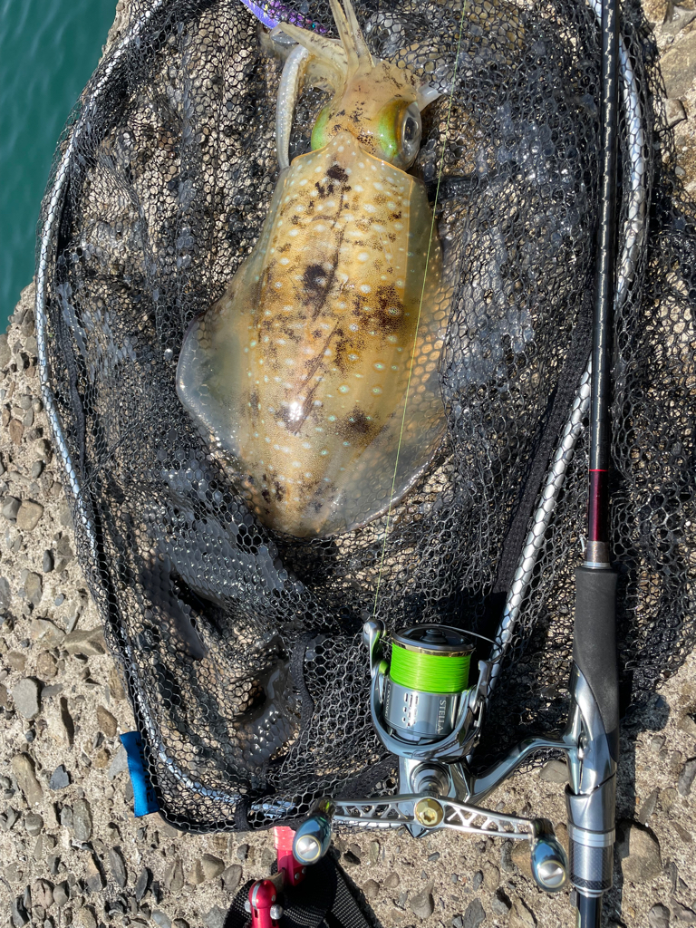 やっと天気回復