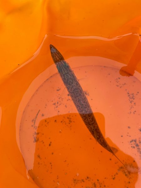 台風直前の少しの晴れ間釣行