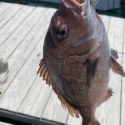 自作練りエサで釣れた！