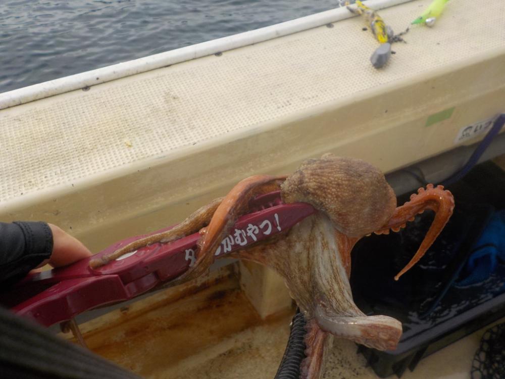 タコ釣り2〜盛和丸〜