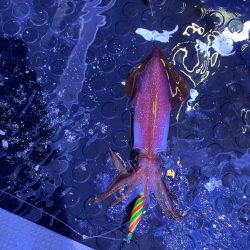 イカメタルで大剣狙い