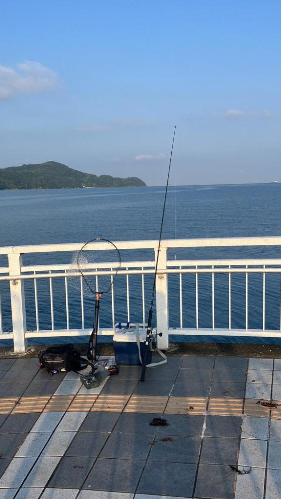 ヘビーミノーすげえ