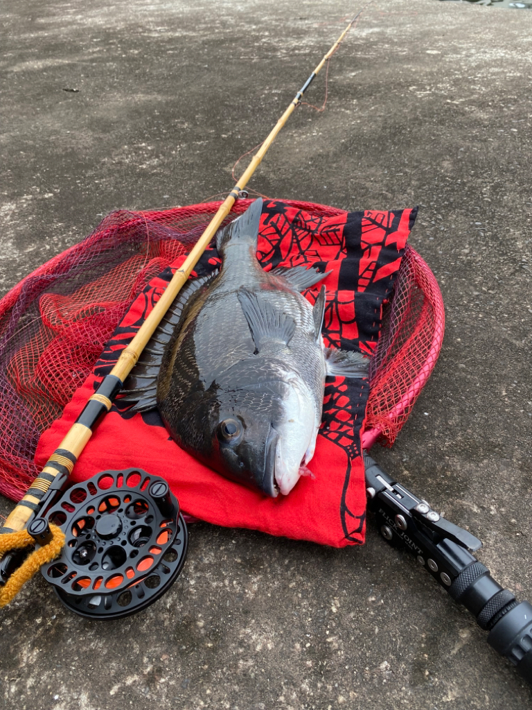 ヘチってきました