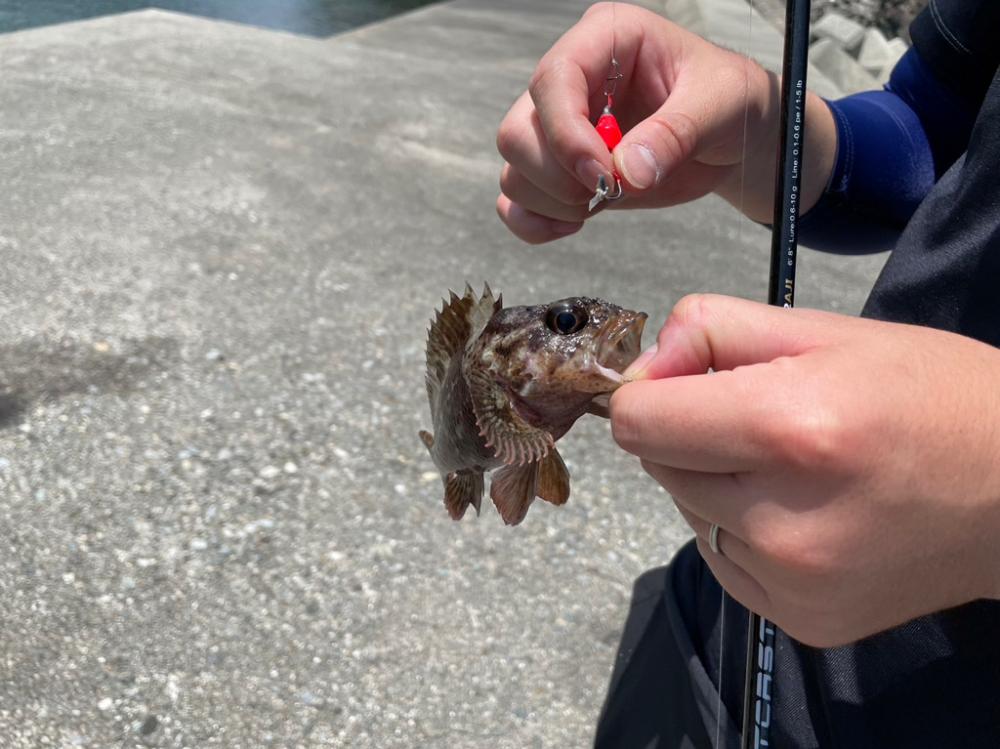 エギングの合間に