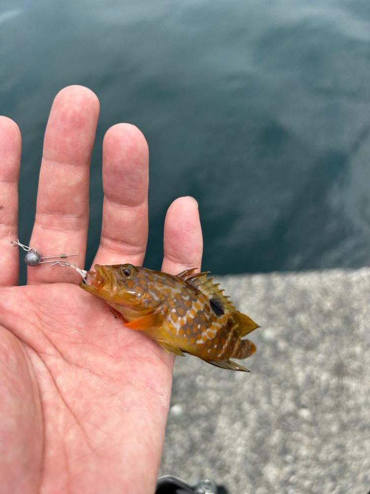 スーパーライトゲーム笑