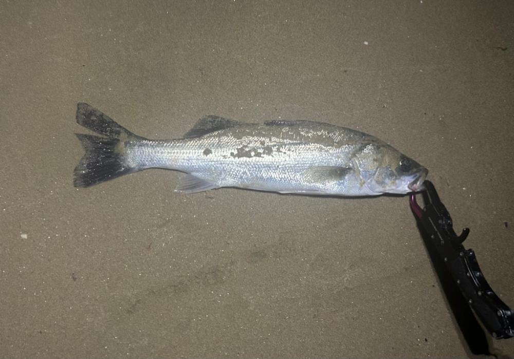 前回とは打って変わって…