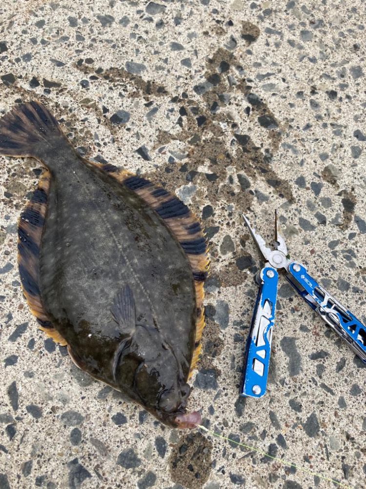 北海道移住後の釣初め