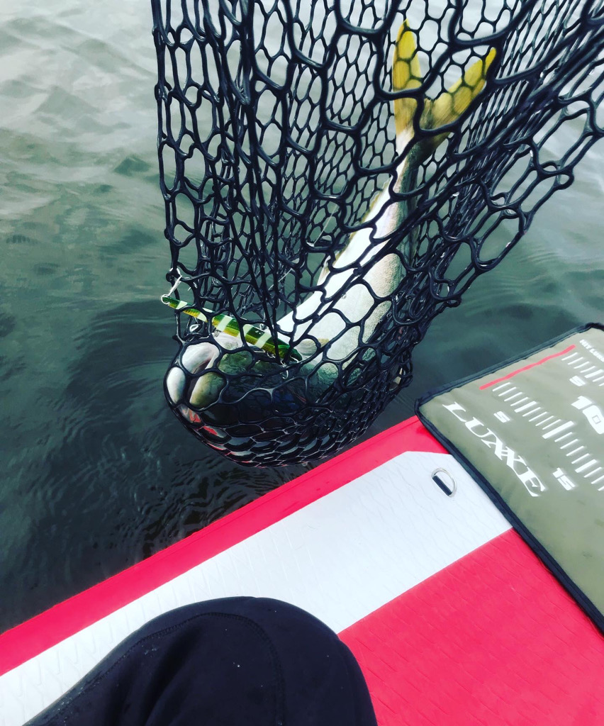 なんとか2連勝！