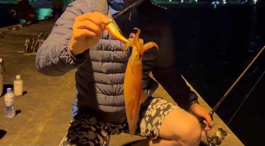 初青海島ナイトエギング!