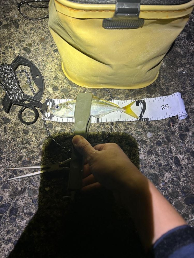 アジングと空飛ぶフグ