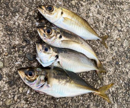 久しぶりのホーム