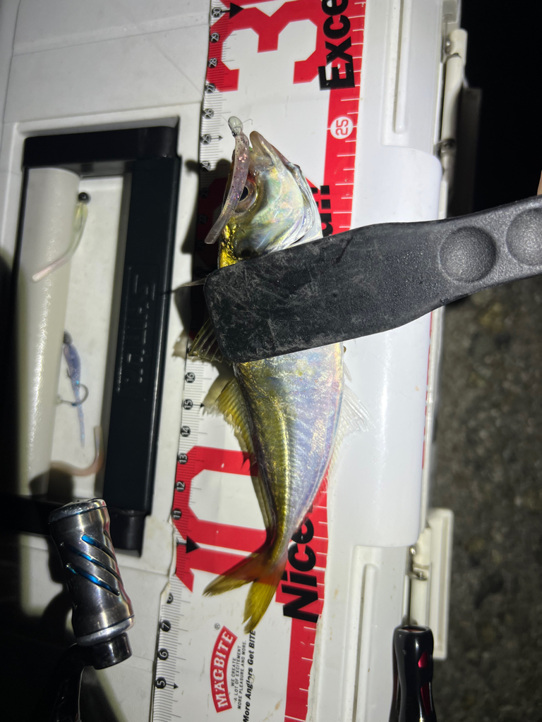 アジングランガン