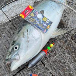 釣堀紀州さんに行ってきました！