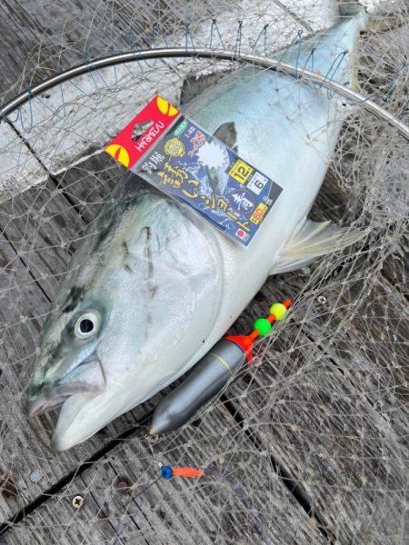 釣堀紀州さんに行ってきました！