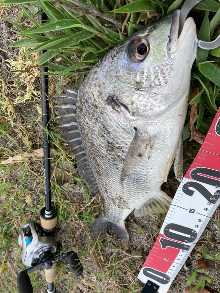 なんちゃってベイトチニング