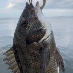 難攻不落の・・・