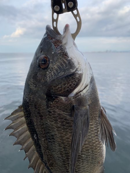 難攻不落の・・・