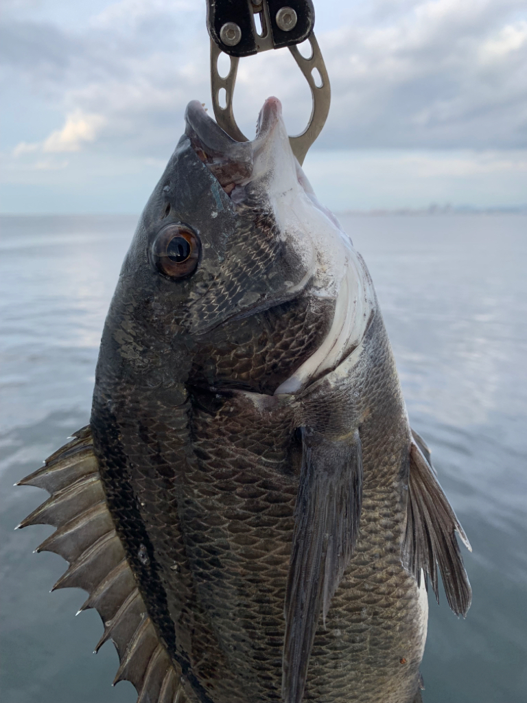 難攻不落の・・・