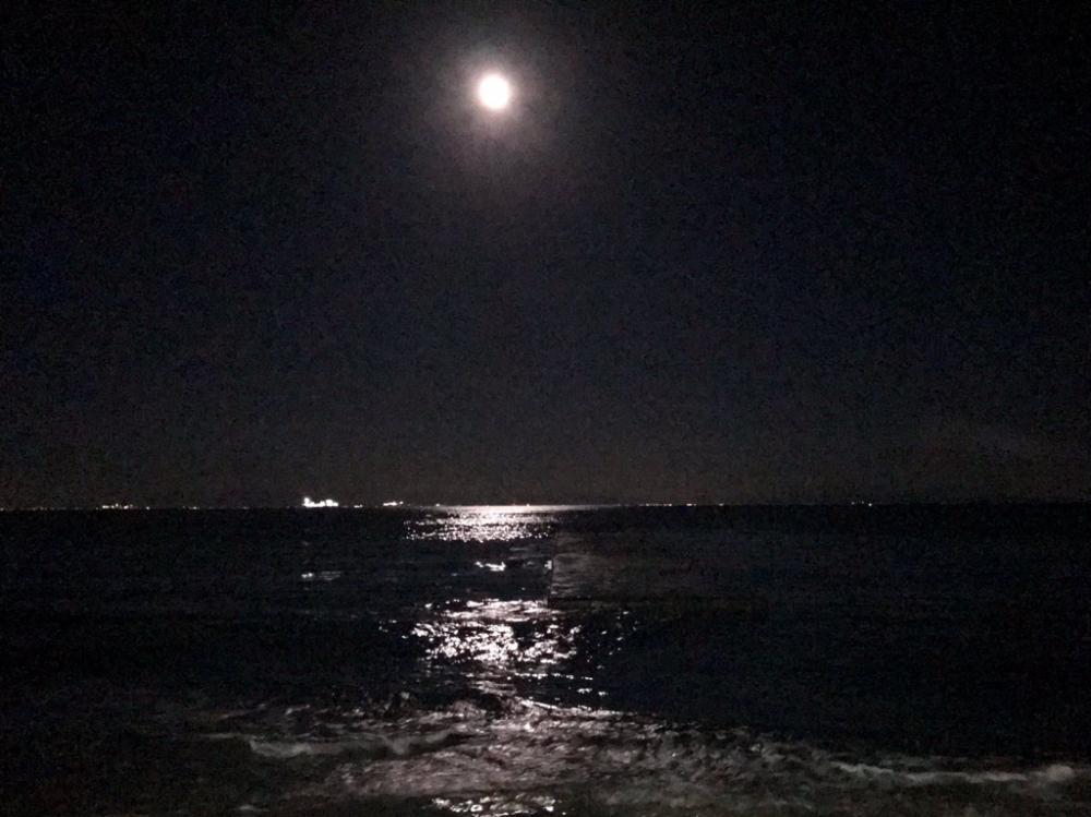 フロートメバリング