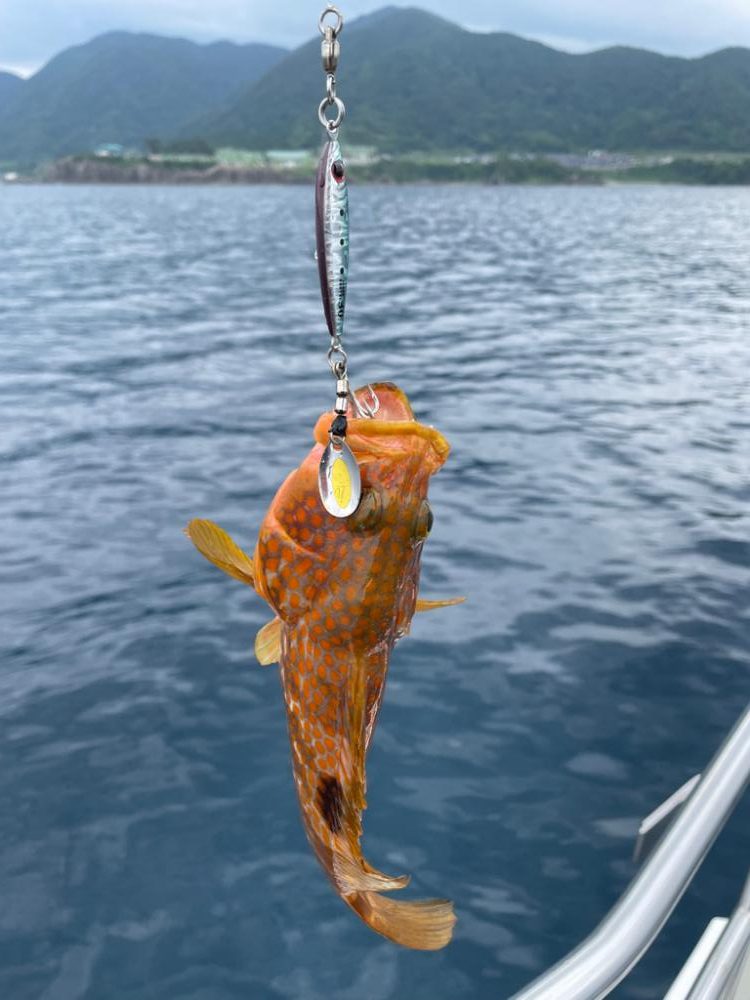 丹後沖　タラジギング　SLJ  ブリキャスティング