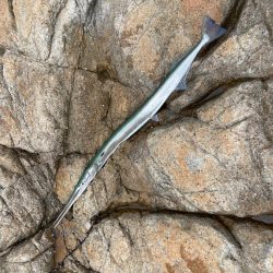 瀬戸内ROCKショア