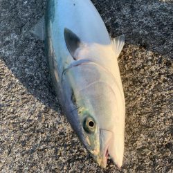 3年目の念願！！