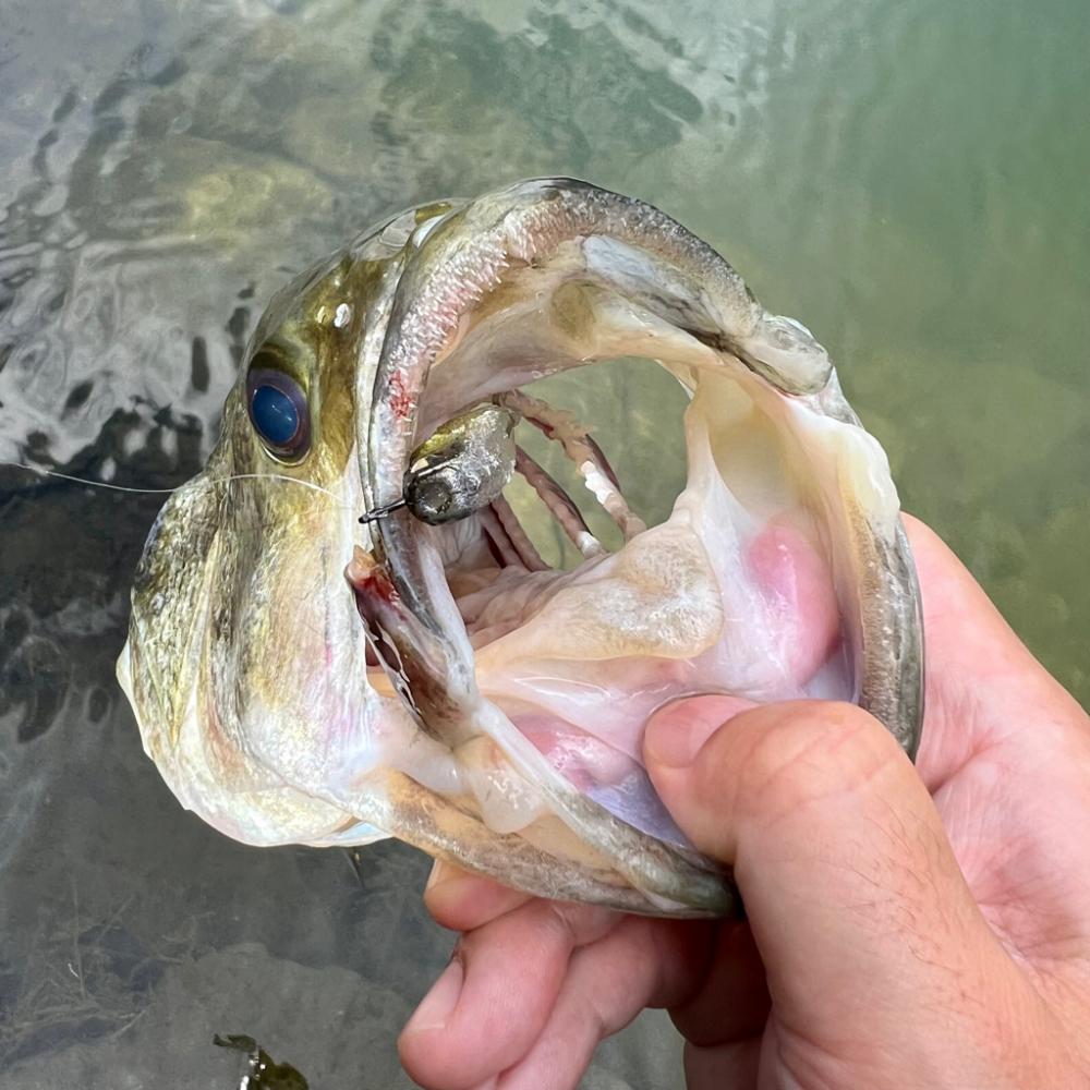 アフターですか⁇💦