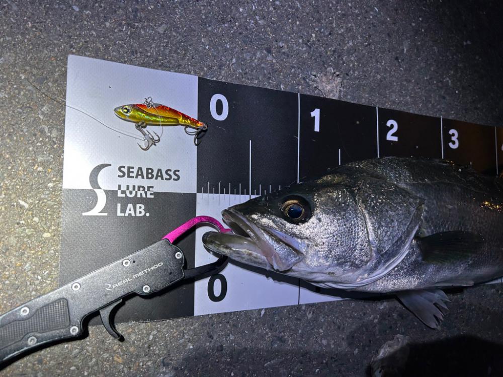 10時間釣行…笑