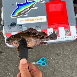 ライトなビッグゲーム