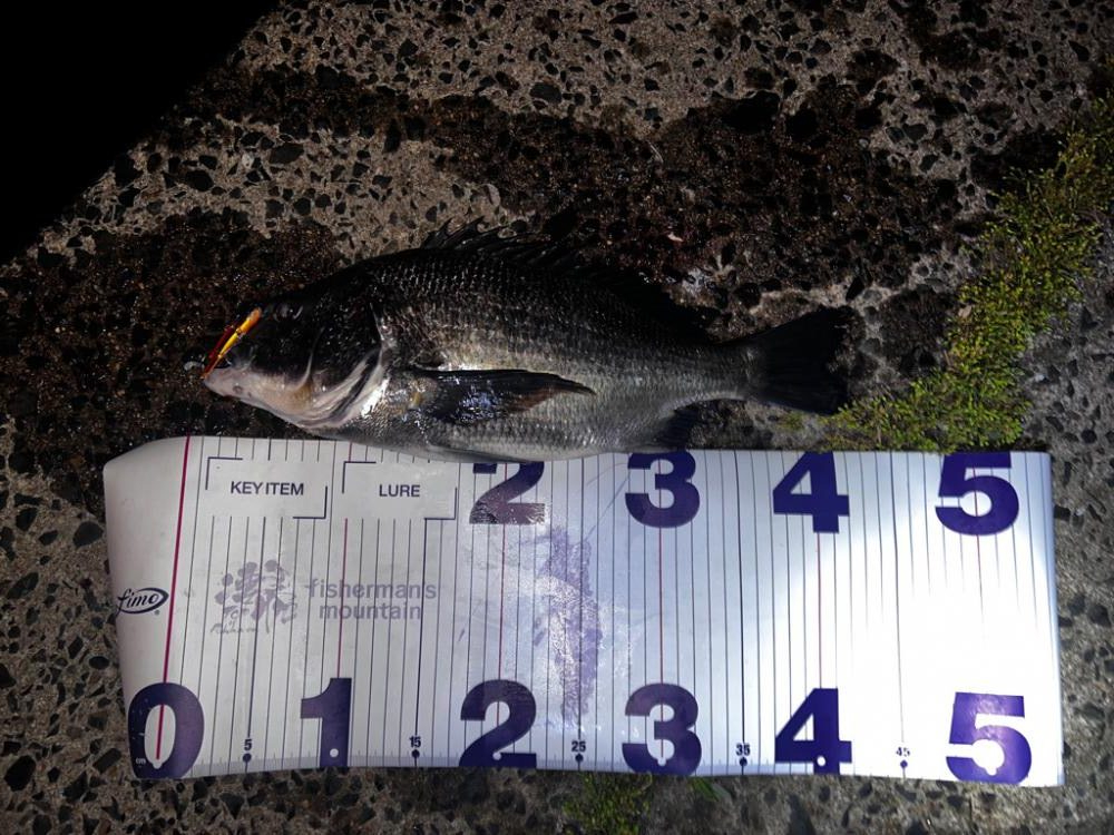 バイブレーションの早巻き!