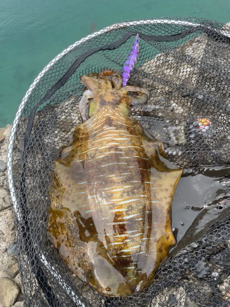 制限時間あり釣行