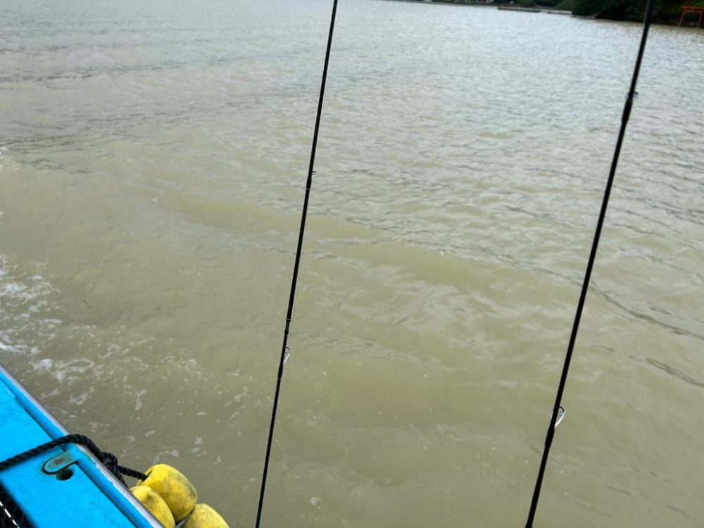 海上釣り堀　あなたに逢い鯛釣り堀　青物コーナー