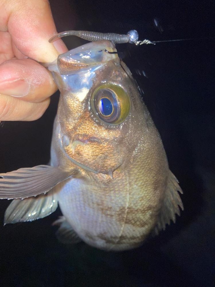 2023ライトゲーム第21戦