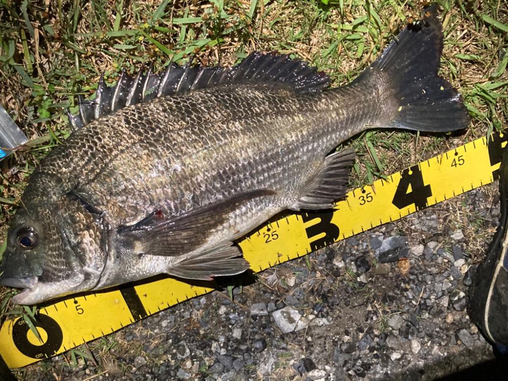 ライトルアーフィッシング