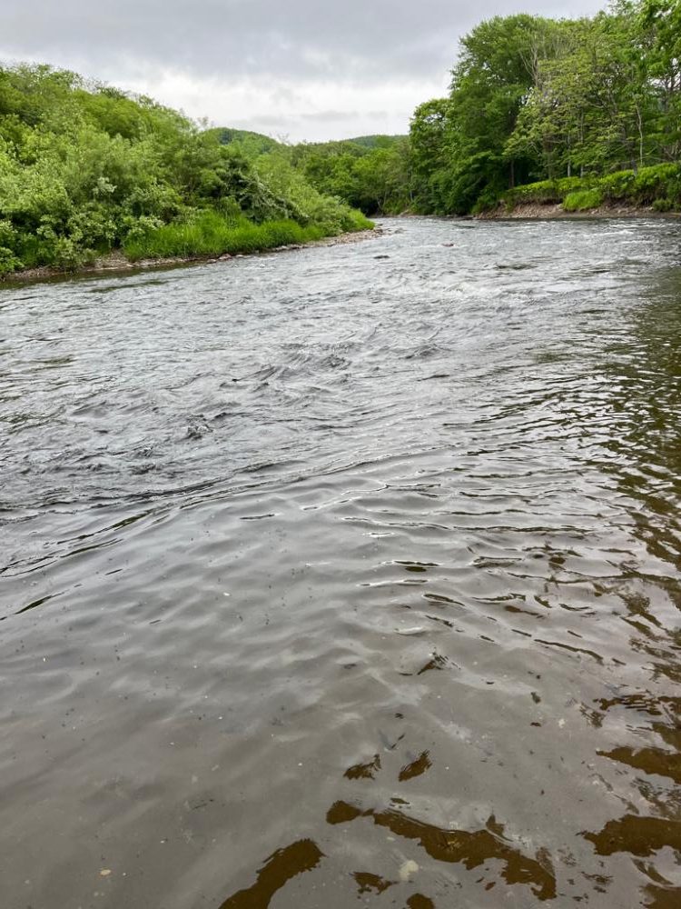 超々短時間への挑戦
