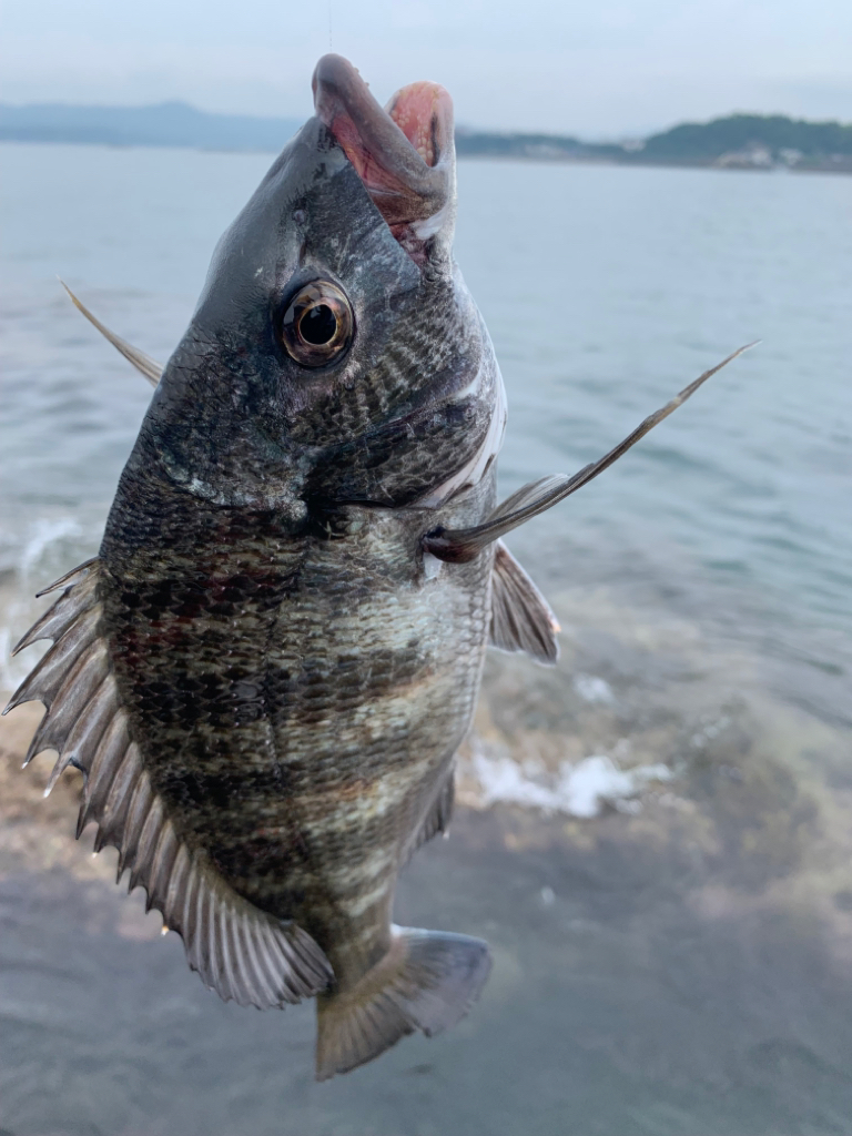 梅雨の晴れ間に…