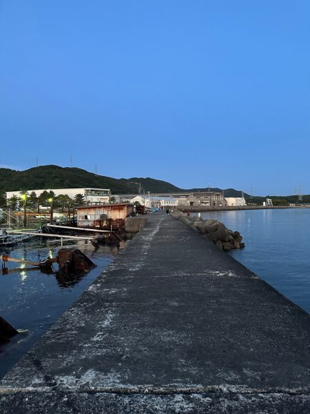 投げ釣り、キス釣り