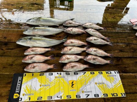 海上釣り堀　あなたに逢い鯛
