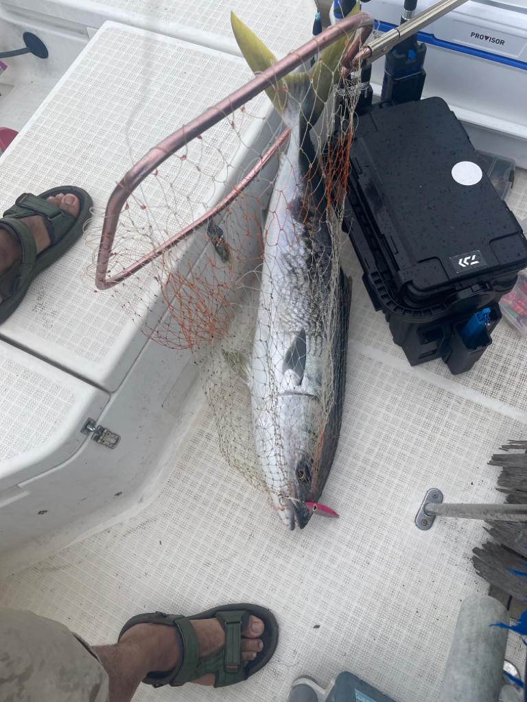 雨のマイボート釣行