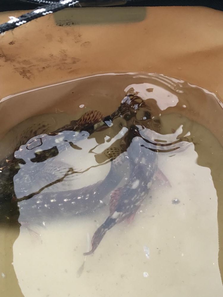 土曜の朝からのんびり釣り♪