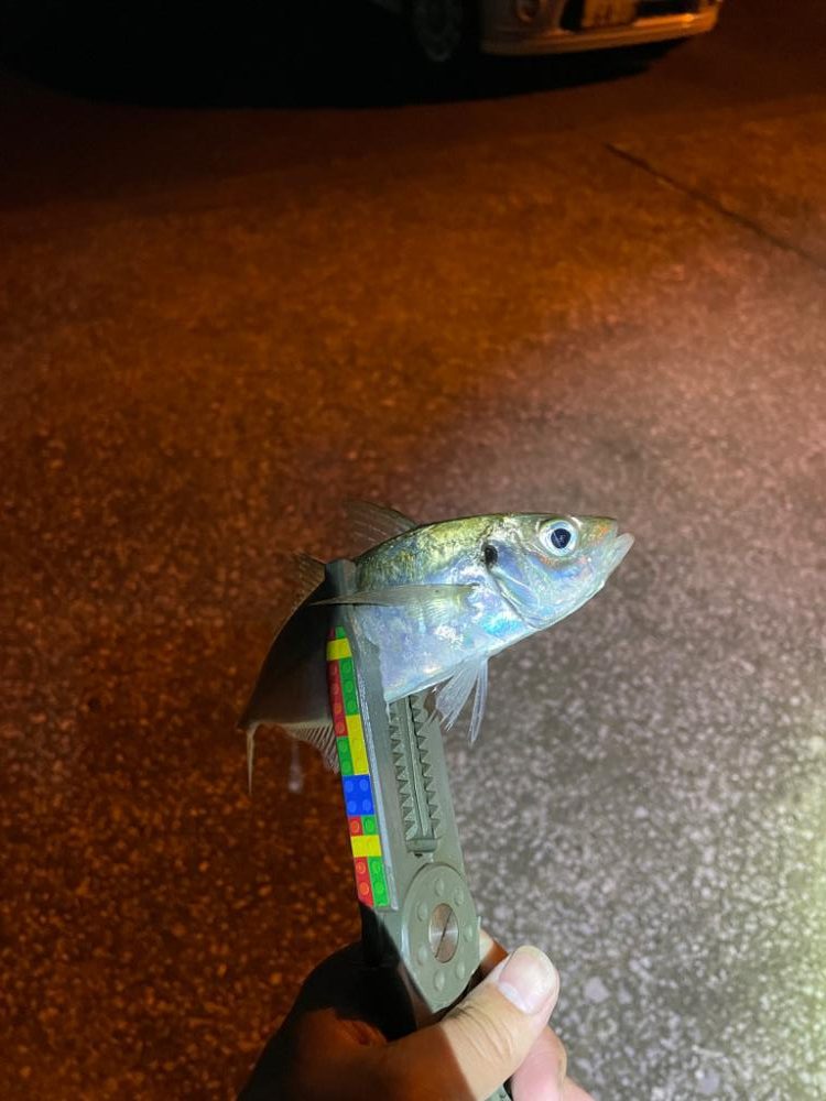 ちょい渋でした