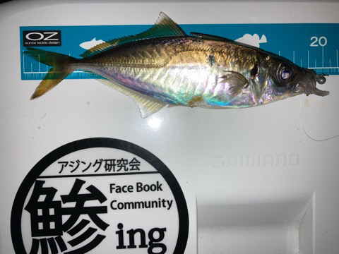 そろそろ抜けかけてる？