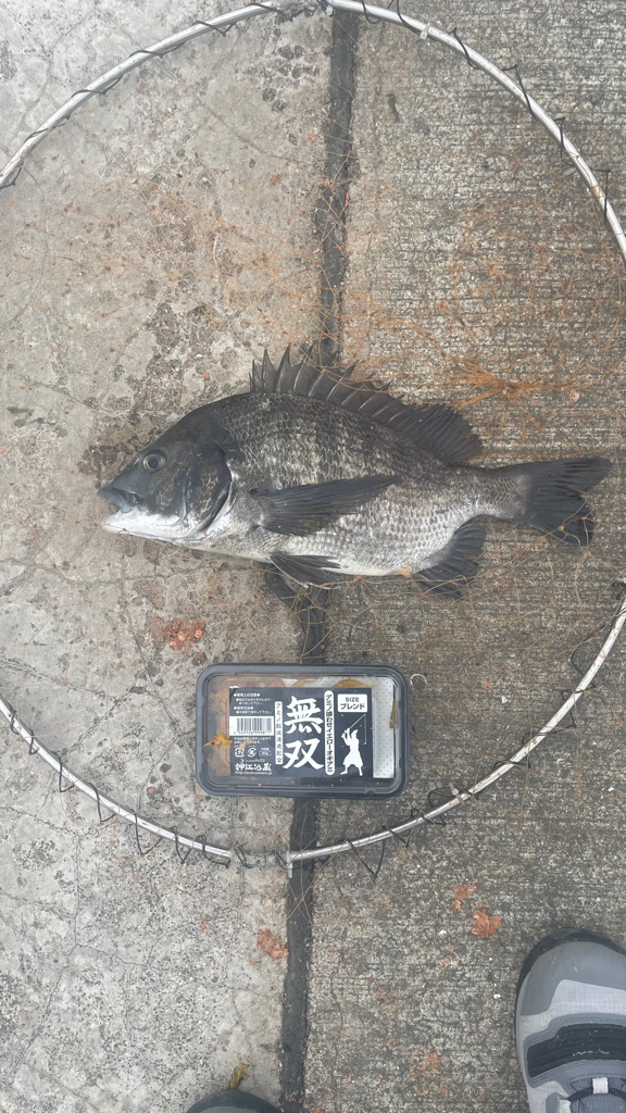 波止フカセ 実際は 二桁