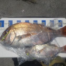 タイラバ4度目の正直