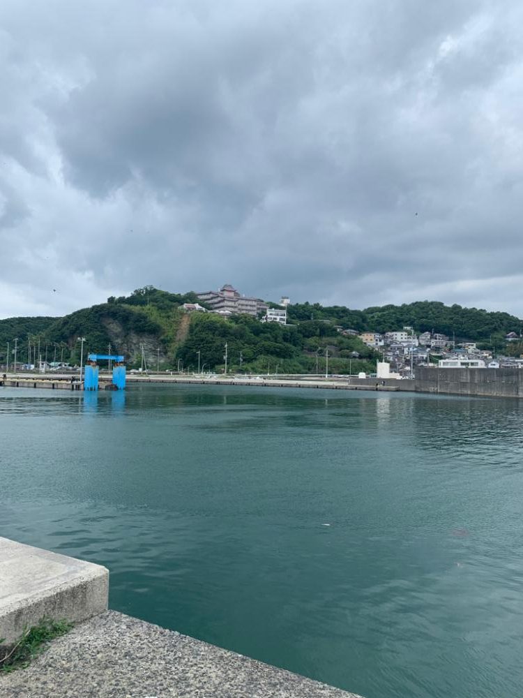 青物の気配ゼロ