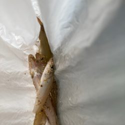 釣りキャンプ終わりに…