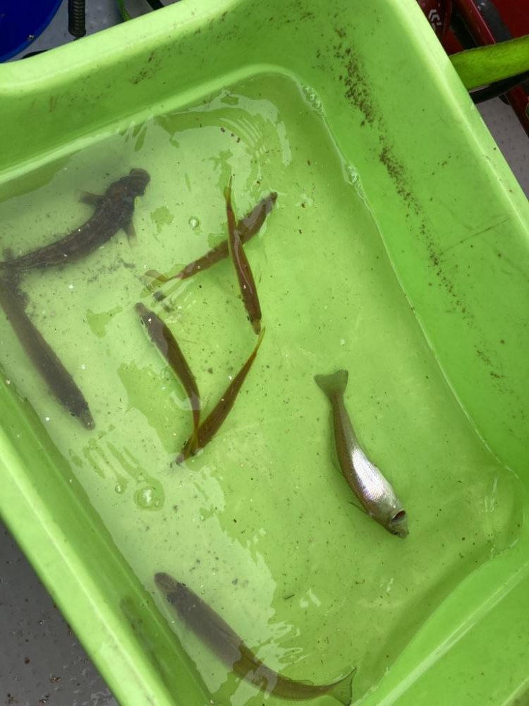 子供とボート釣り