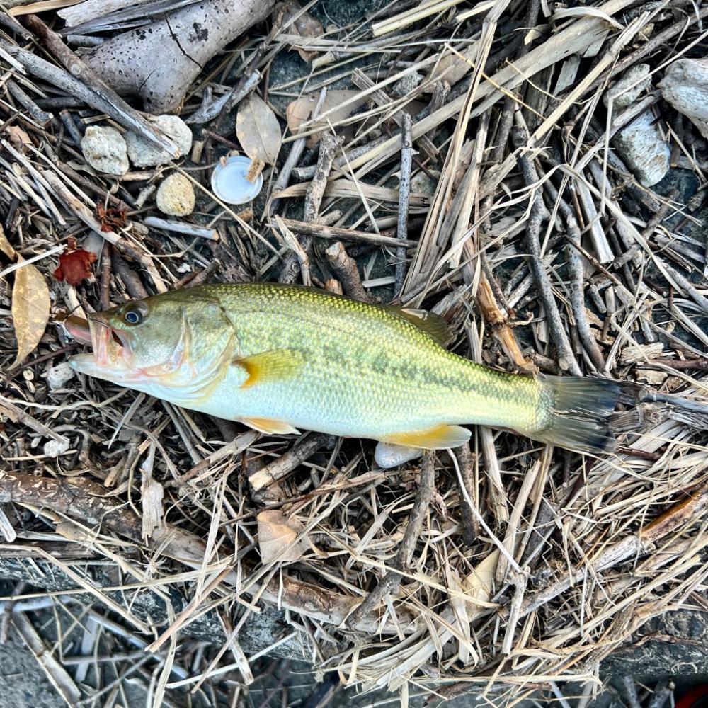 可愛いサイズ❤️