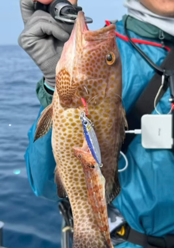 SLJで本命イサキとガチのモンスター